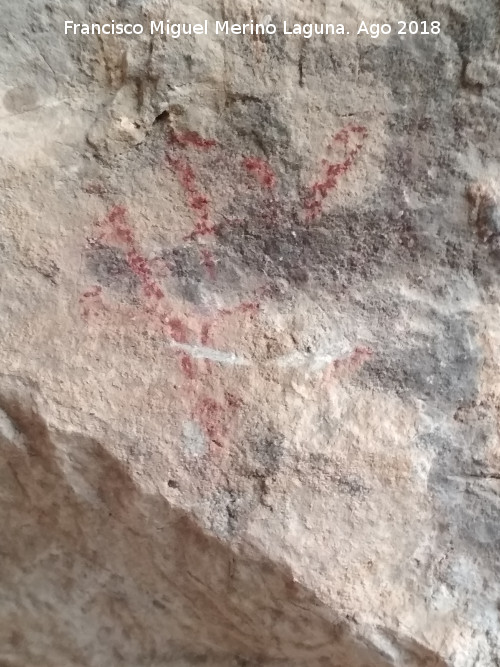 Pinturas rupestres y grabados de la Cueva de Mingo Lpez - Pinturas rupestres y grabados de la Cueva de Mingo Lpez. 