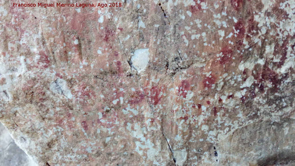 Pinturas rupestres de la Raspa de Piedra Redonda III - Pinturas rupestres de la Raspa de Piedra Redonda III. Detalle