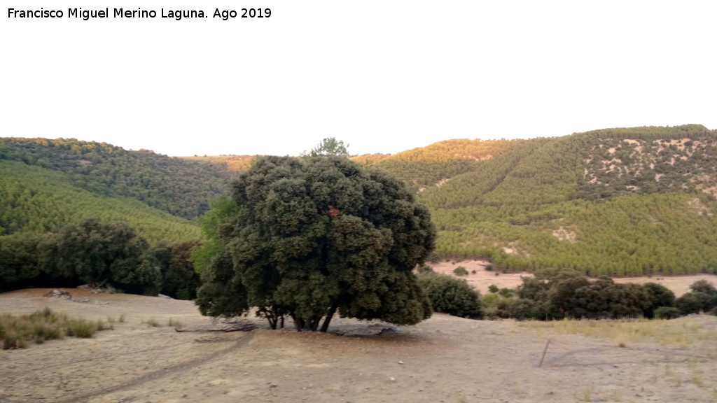 Las Pilas - Las Pilas. 