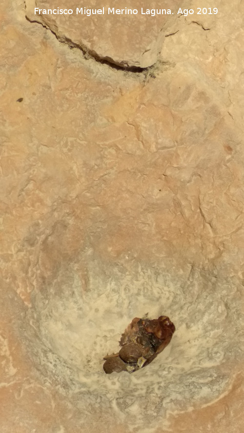 Pinturas rupestres y cazoletas Abrigo Trepada del Clarillo III - Pinturas rupestres y cazoletas Abrigo Trepada del Clarillo III. Cazoleta