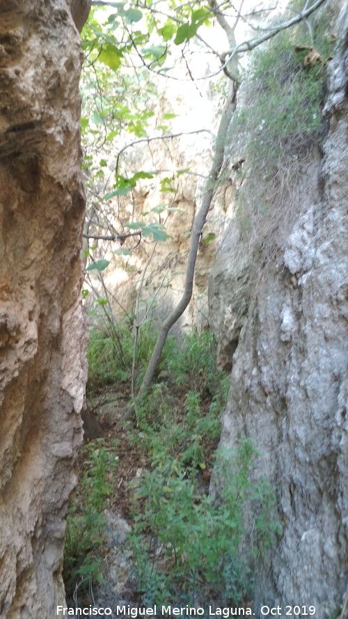 Aprisco de la Ladera de la Veleta - Aprisco de la Ladera de la Veleta. Paso