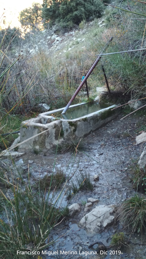Fuente de la Trocha de Carboneros - Fuente de la Trocha de Carboneros. 