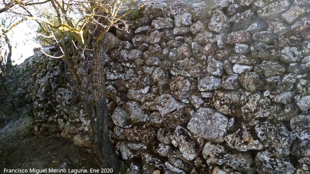Oppidum de la Gineta - Oppidum de la Gineta. Muralla