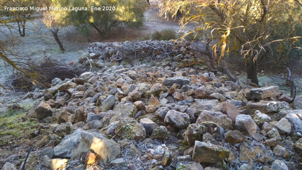 Oppidum de la Gineta - Oppidum de la Gineta. Tore�n