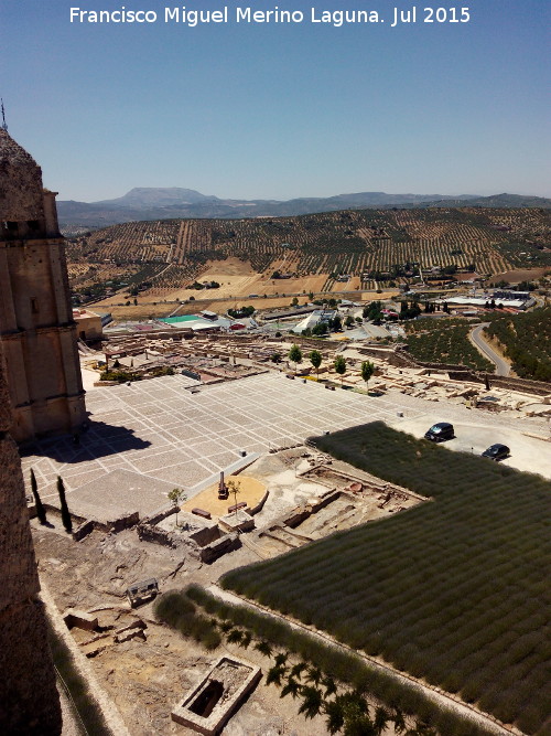 La Mota. Plaza Alta - La Mota. Plaza Alta. 