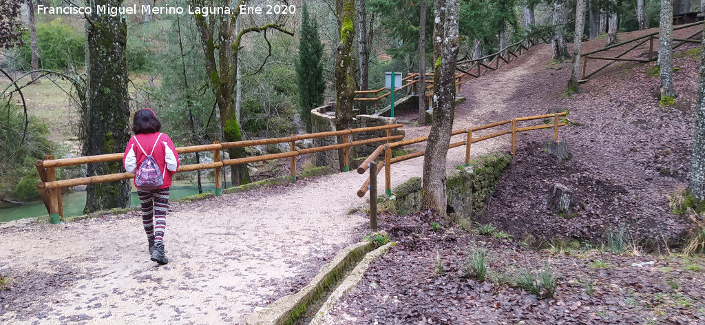 �rea recreativa Puente de las Herrer�as - �rea recreativa Puente de las Herrer�as. 