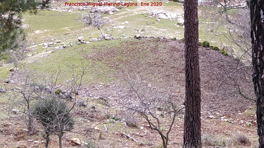 Era de Locos - Era de Locos. 