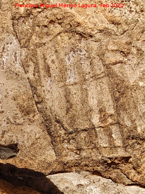 Abrigo del Reticulado - Abrigo del Reticulado. Reticulado