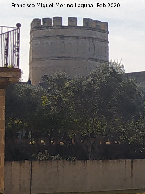 Alc�zar de Jerez. Torre Octogonal - Alc�zar de Jerez. Torre Octogonal. 