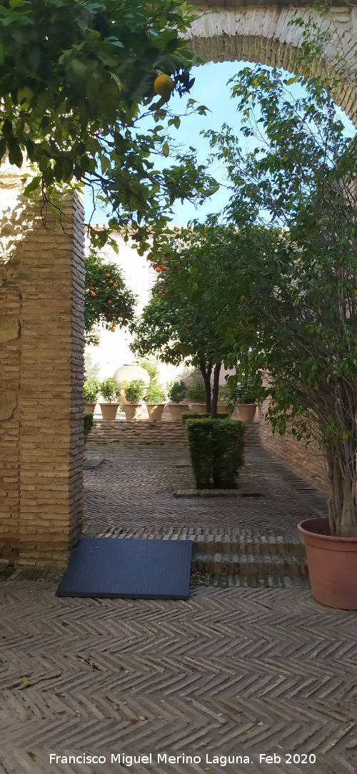 Alc�zar de Jerez. Molino de Aceite - Alc�zar de Jerez. Molino de Aceite. Acceso al molino