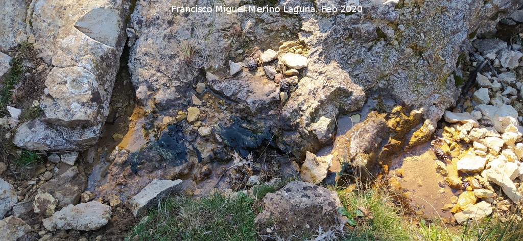 Cueva del Nacimiento del Arroyo del Barranco de la Ca�ada de las Fuentes - Cueva del Nacimiento del Arroyo del Barranco de la Ca�ada de las Fuentes. Agua del arroyo saliendo de la cueva