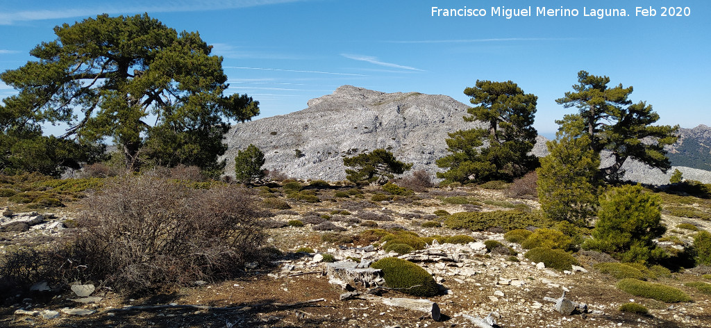 Loma de Cagasebo - Loma de Cagasebo. Al fondo el Aguil�n del Loco