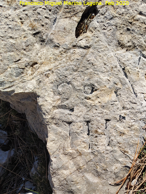 Grabado forestal de la Loma de Cagasebo - Grabado forestal de la Loma de Cagasebo. 