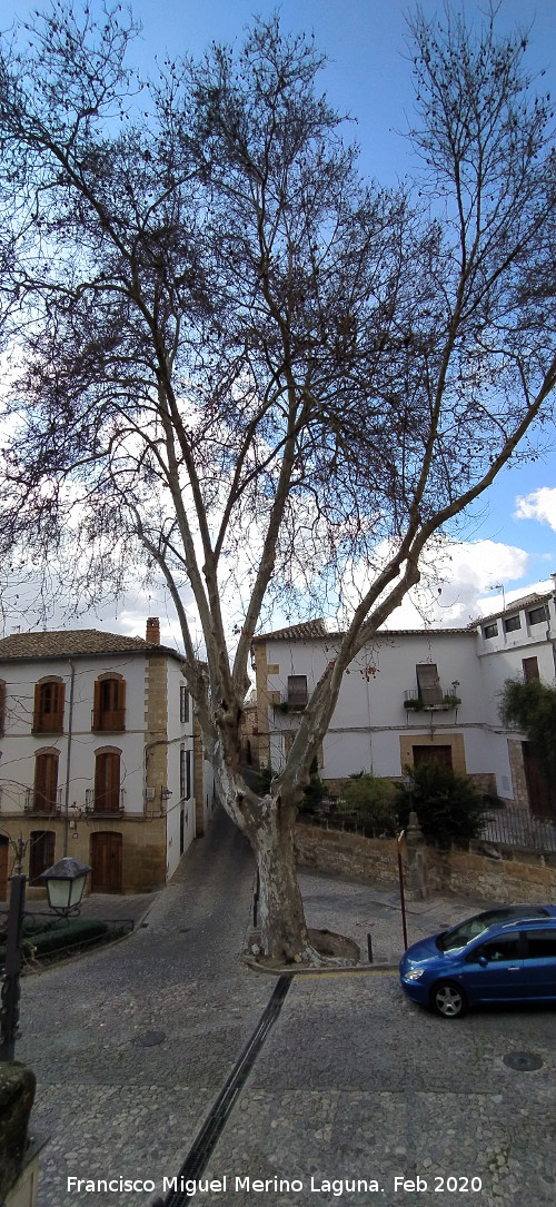 Calle Af�n de Rivera - Calle Af�n de Rivera. 