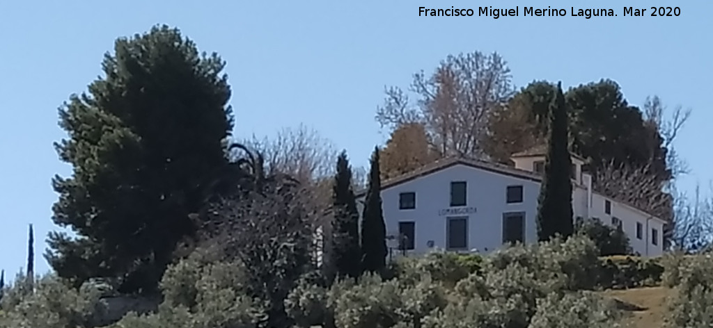 Cortijo de la Loma - Cortijo de la Loma. 
