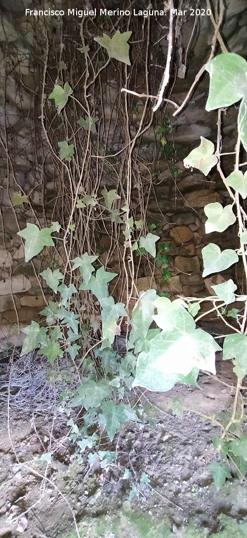 Caracol de la Veredilla - Caracol de la Veredilla. Interior
