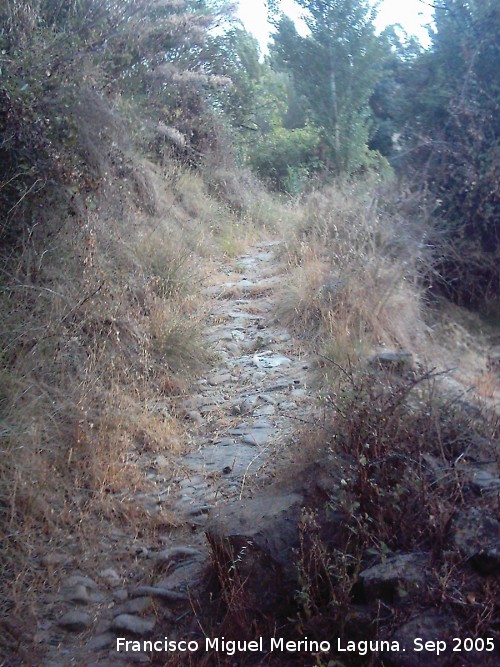 Camino del Molino de los Tontos - Camino del Molino de los Tontos. 