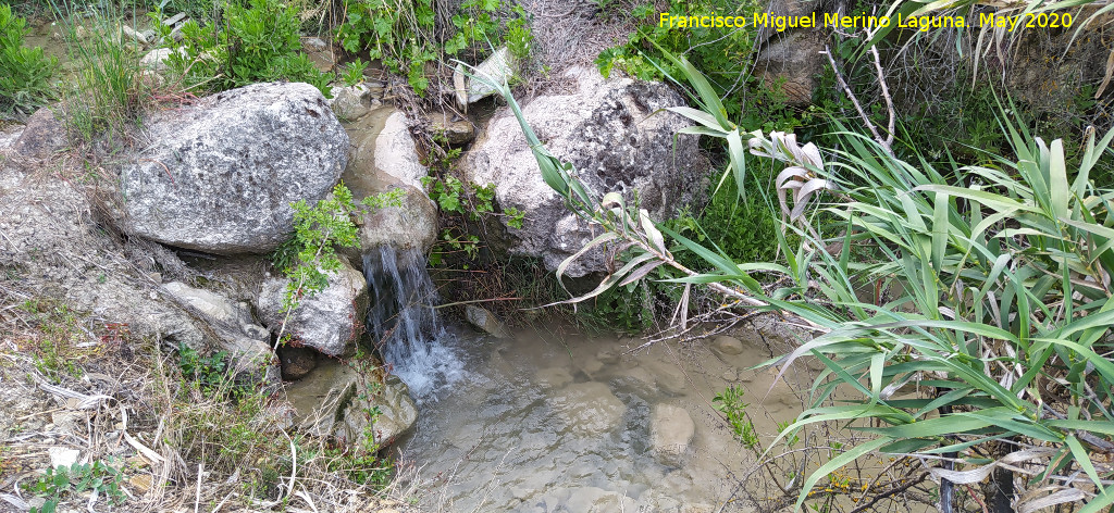 Arroyo de la Venta - Arroyo de la Venta. 