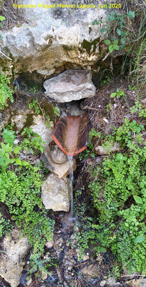 Fuente de la Teja Bonales - Fuente de la Teja Bonales. 