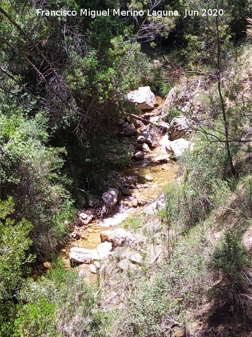 Arroyo del Hombre - Arroyo del Hombre. 