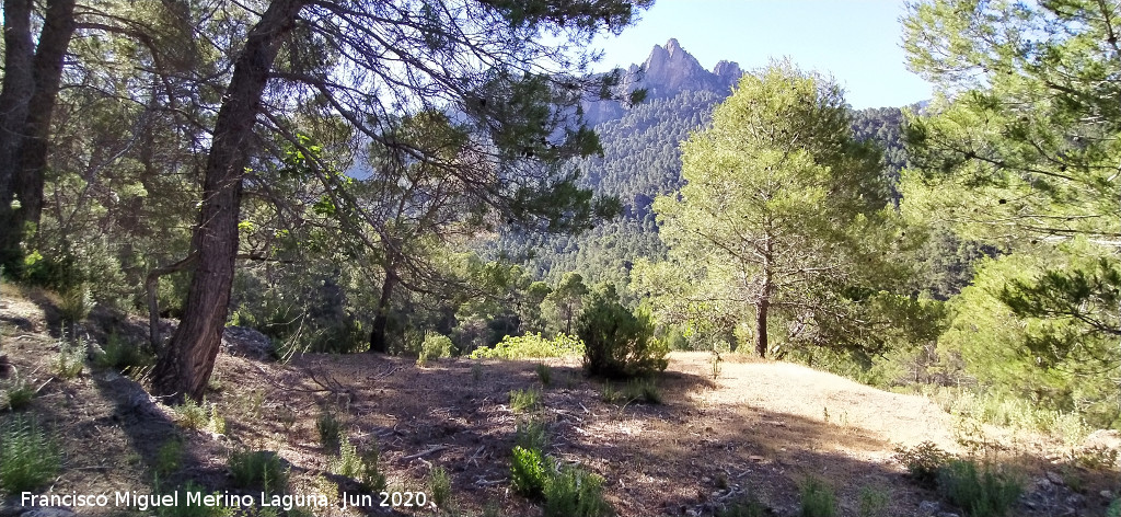 Era de la Huelga de los Olivos - Era de la Huelga de los Olivos. 