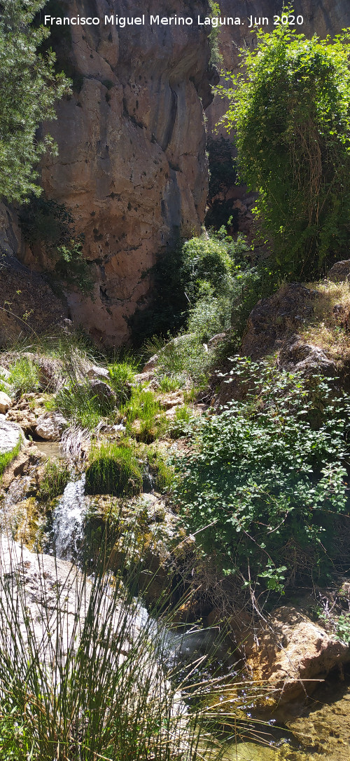 Arroyo de las Grajas - Arroyo de las Grajas. 