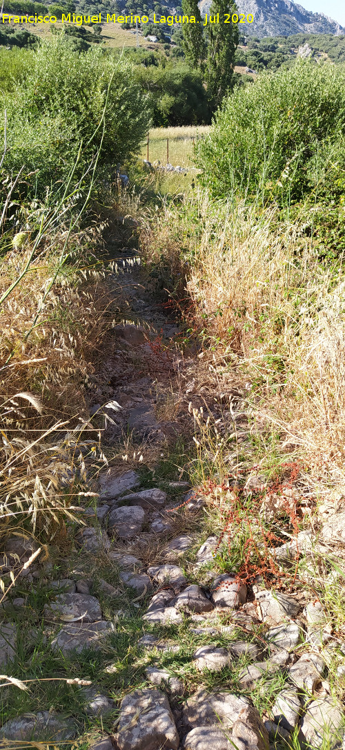 Calzada de Benaocaz a Ubrique - Calzada de Benaocaz a Ubrique. 