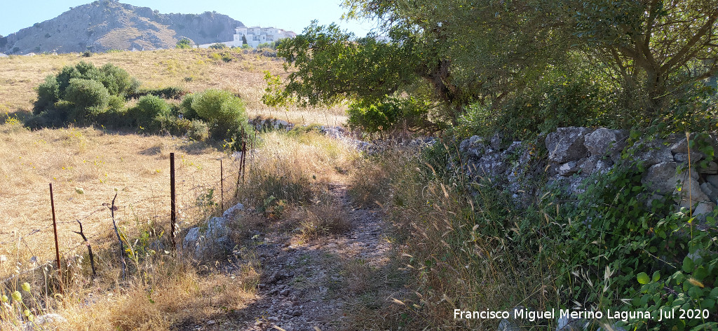 Calzada de Benaocaz a Ubrique - Calzada de Benaocaz a Ubrique. 