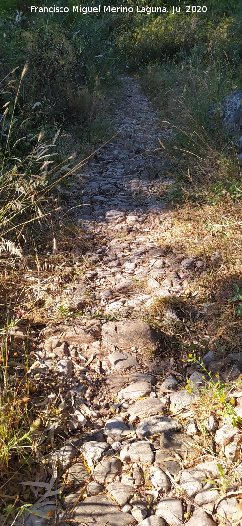 Calzada de Benaocaz a Ubrique - Calzada de Benaocaz a Ubrique. Empedrado