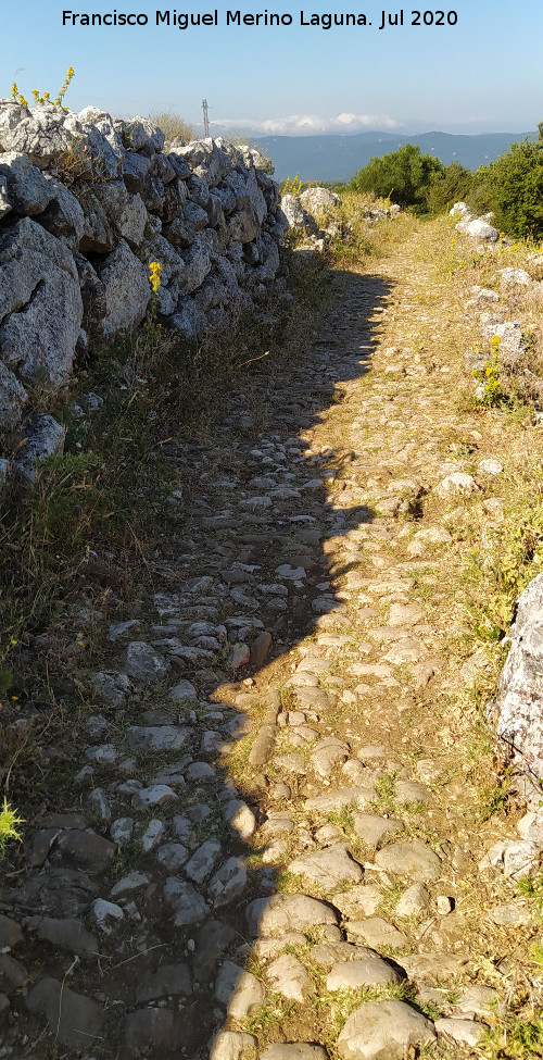 Calzada de Benaocaz a Ubrique - Calzada de Benaocaz a Ubrique. 