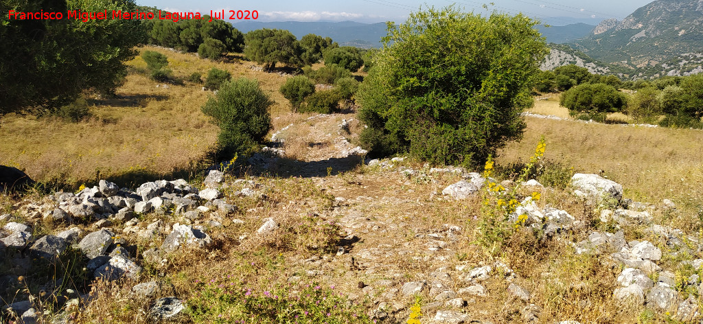 Calzada de Benaocaz a Ubrique - Calzada de Benaocaz a Ubrique. 