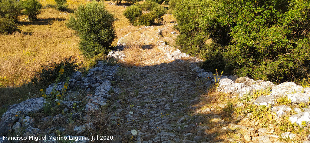 Calzada de Benaocaz a Ubrique - Calzada de Benaocaz a Ubrique. 
