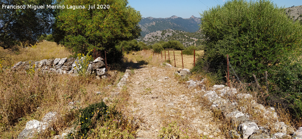 Calzada de Benaocaz a Ubrique - Calzada de Benaocaz a Ubrique. 