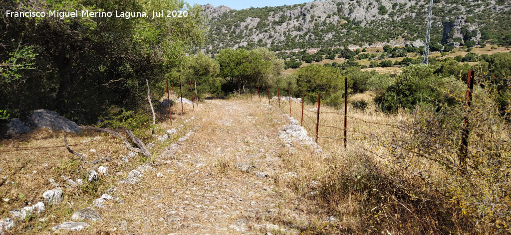 Calzada de Benaocaz a Ubrique - Calzada de Benaocaz a Ubrique. 