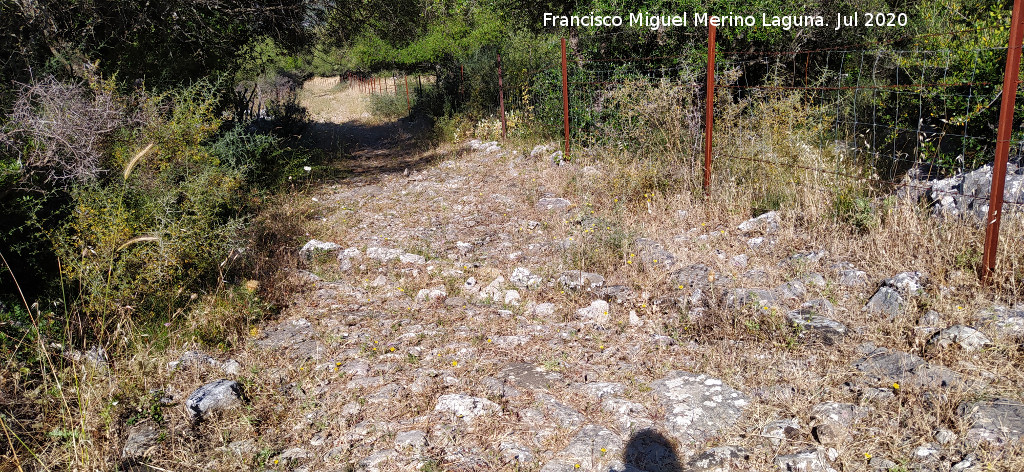 Calzada de Benaocaz a Ubrique - Calzada de Benaocaz a Ubrique. Desag�e