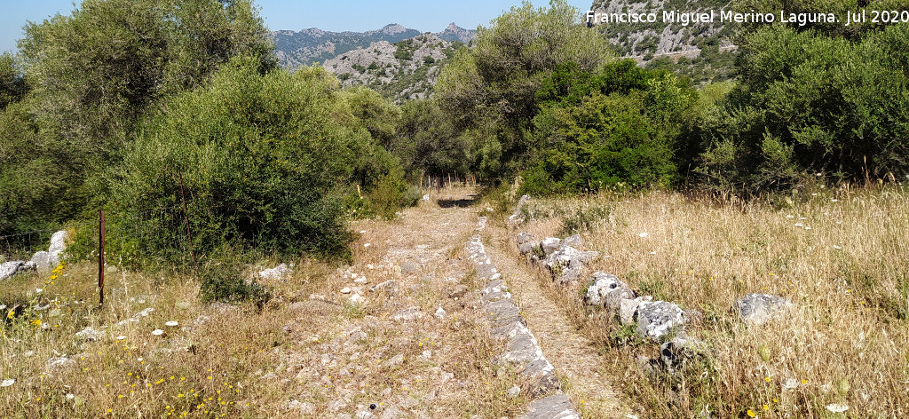 Calzada de Benaocaz a Ubrique - Calzada de Benaocaz a Ubrique. Cuneta