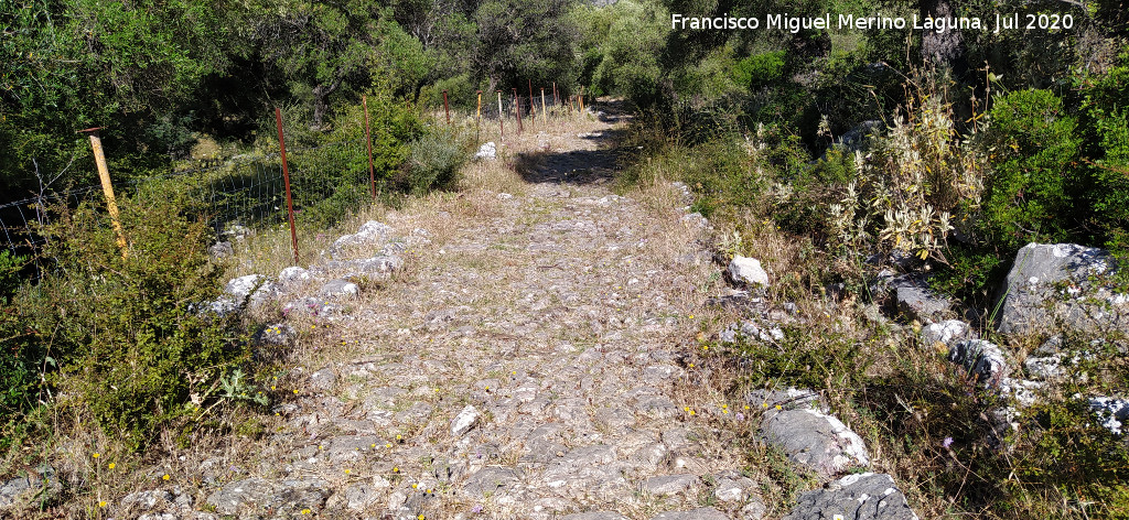 Calzada de Benaocaz a Ubrique - Calzada de Benaocaz a Ubrique. 