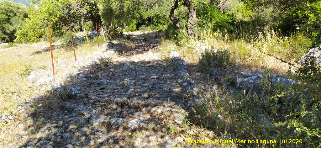 Calzada de Benaocaz a Ubrique - Calzada de Benaocaz a Ubrique. 