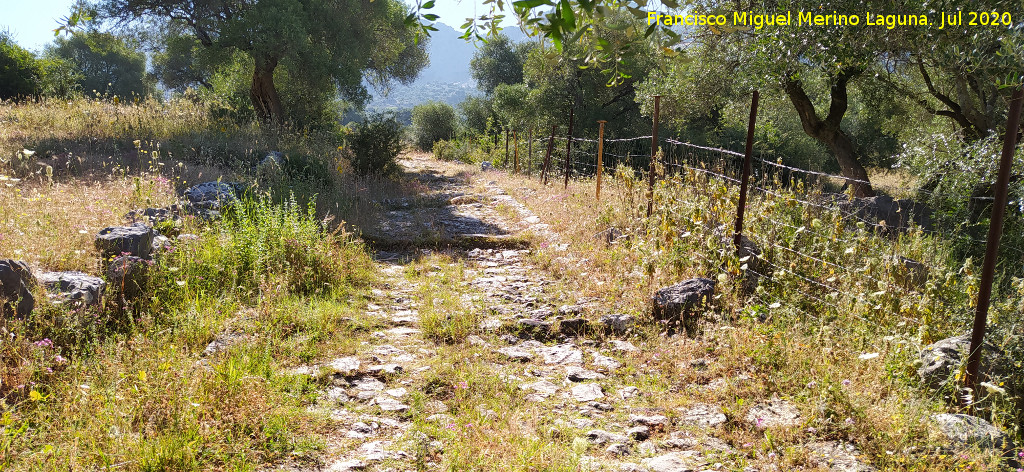 Calzada de Benaocaz a Ubrique - Calzada de Benaocaz a Ubrique. 