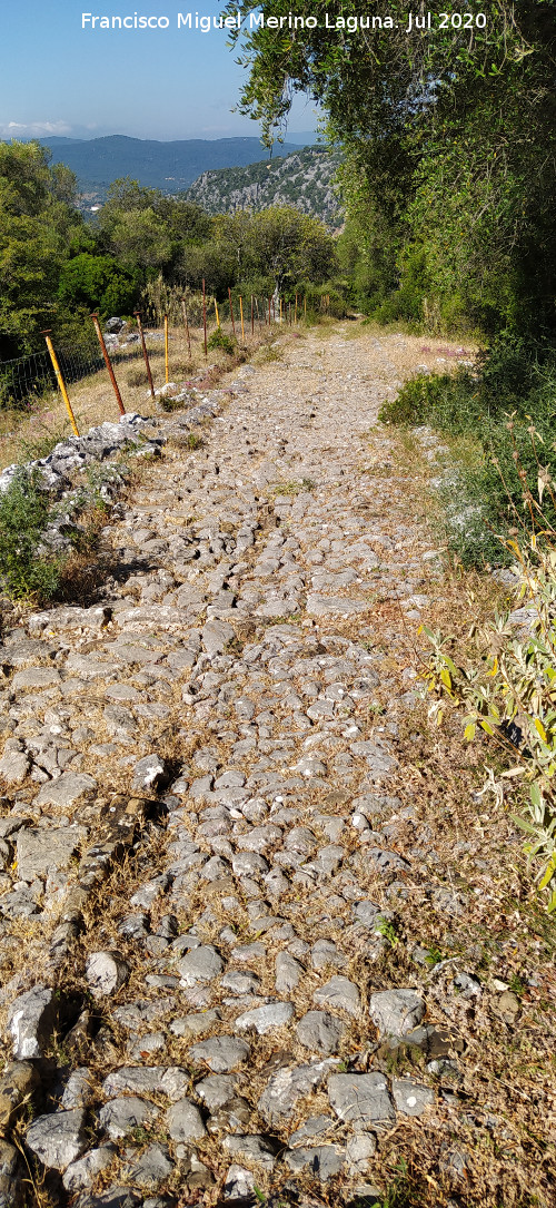 Calzada de Benaocaz a Ubrique - Calzada de Benaocaz a Ubrique. 