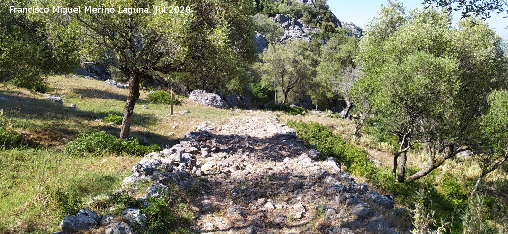 Calzada de Benaocaz a Ubrique - Calzada de Benaocaz a Ubrique. 