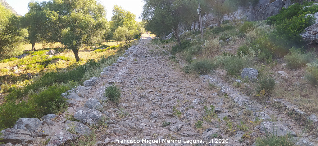 Calzada de Benaocaz a Ubrique - Calzada de Benaocaz a Ubrique. 
