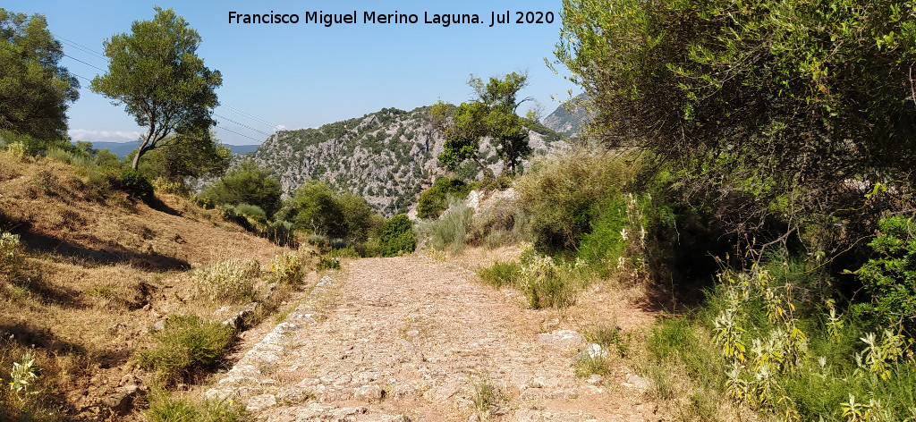 Calzada de Benaocaz a Ubrique - Calzada de Benaocaz a Ubrique. 