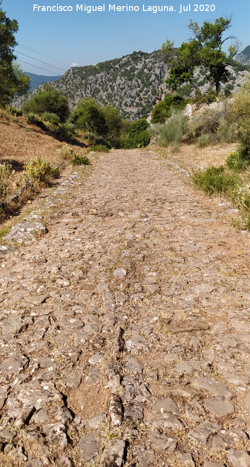 Calzada de Benaocaz a Ubrique - Calzada de Benaocaz a Ubrique. 