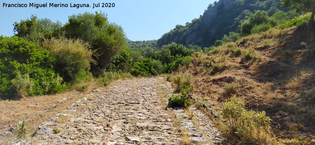 Calzada de Benaocaz a Ubrique - Calzada de Benaocaz a Ubrique. 