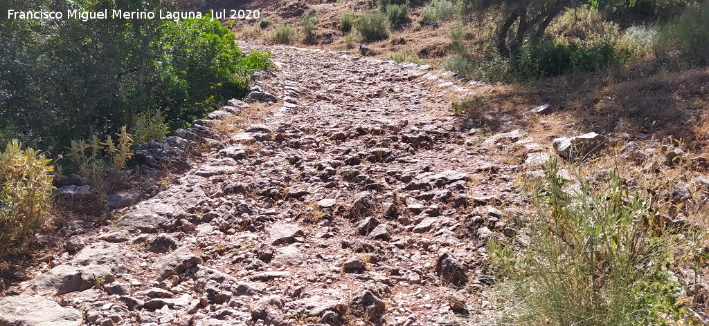 Calzada de Benaocaz a Ubrique - Calzada de Benaocaz a Ubrique. 
