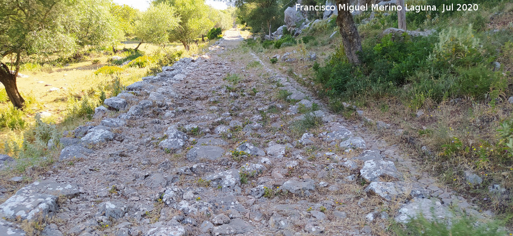 Calzada de Benaocaz a Ubrique - Calzada de Benaocaz a Ubrique. 