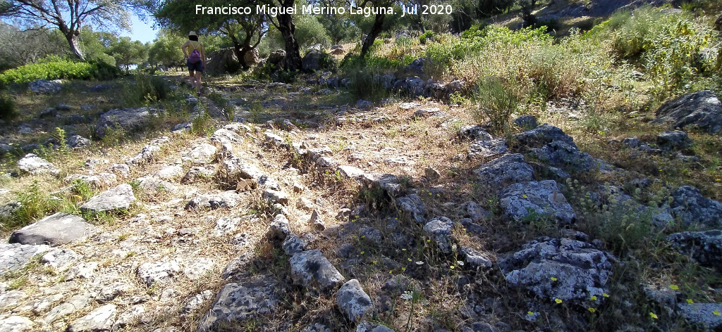 Calzada de Benaocaz a Ubrique - Calzada de Benaocaz a Ubrique. Desag�e