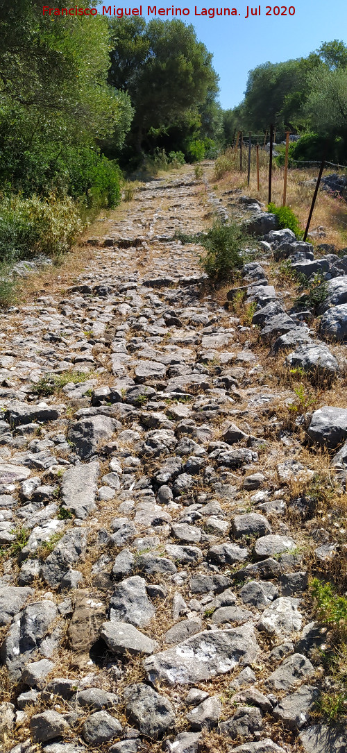 Calzada de Benaocaz a Ubrique - Calzada de Benaocaz a Ubrique. 