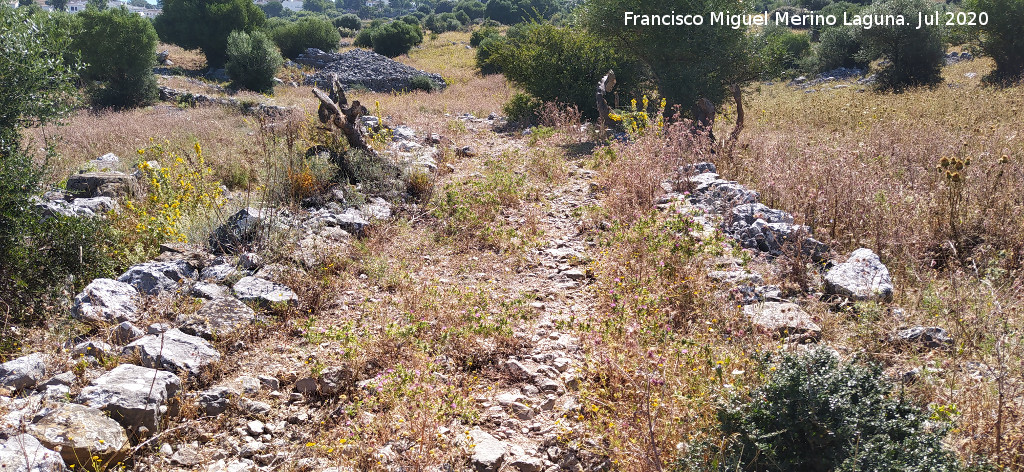 Calzada de Benaocaz a Ubrique - Calzada de Benaocaz a Ubrique. 